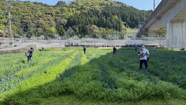 JA青壮年部という組織