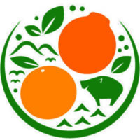 大地と甘夏