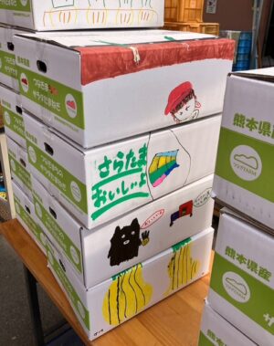サラ玉ちゃんの出荷