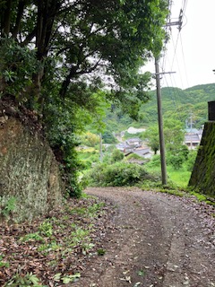 清掃活動
