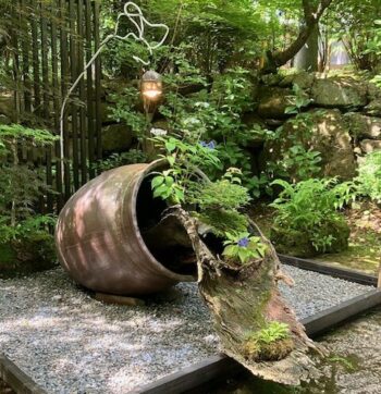 2025年7月1日　園主の一日