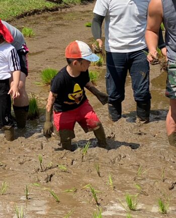 学校での「田植え体験」は必要か？　