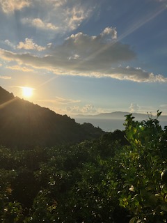 新米農家 空き家に住む①