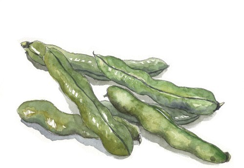 2025年10月26日　園主の一日