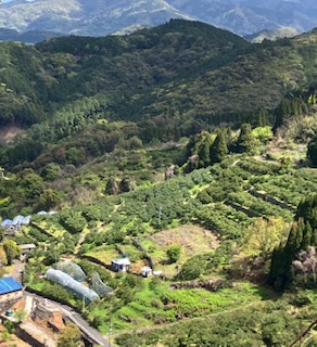 劇的ビフォーアフター ①