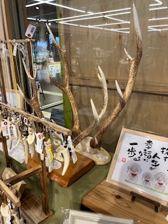 青壮年部視察研修