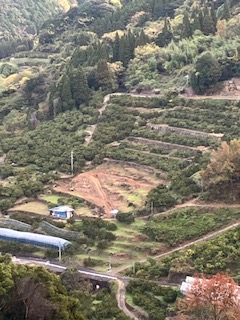 劇的ビフォーアフター ③