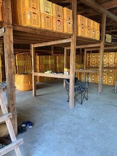 2025年12月19日　園主の一日