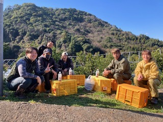 甘夏収穫作業DAY②