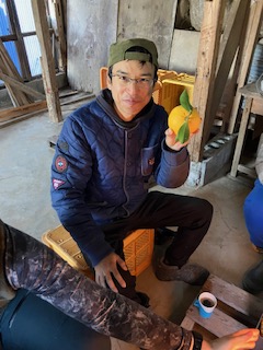 🍊甘夏収穫作業DAY④🍊