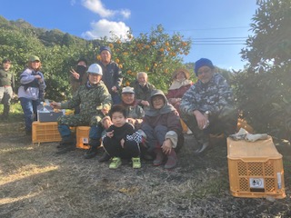 🍊甘夏収穫作業DAY⑤🍊