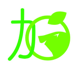 初売り用甘夏出荷🍊