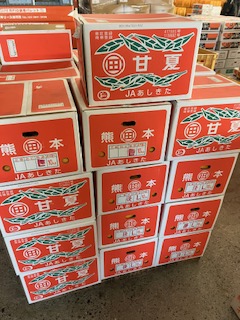 熊本大同青果株式会社