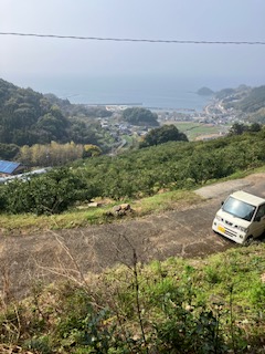 🐗春とイノシシ🐗