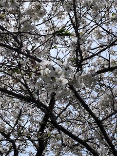 脱サラ農業への道。独学を支えた『教科書』