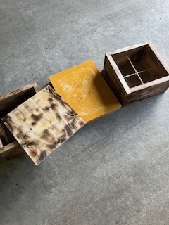 🐝何してる？🐝