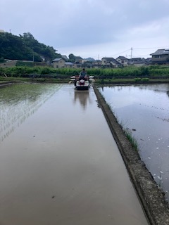 柑橘農家、稲作オペレーターへの道！