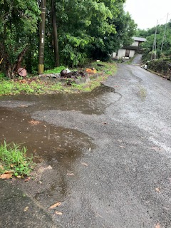 豪雨明けの静寂と、静かに忍び寄る「彼ら」の影
