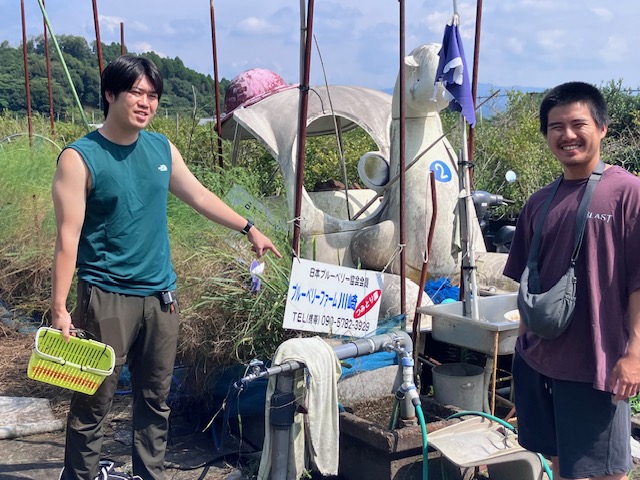弾丸視察ツアー】思い立ったら即行動！宮崎・鹿児島へブルーベリー農園視察