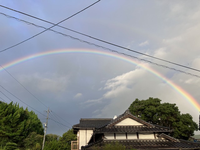 【農家ハンター】令和8年度の捕獲日記（目標25頭）【現在 20頭目：イノシシ】〜みかん農家兼ハンターの濃密すぎる1日〜